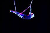 anna-vigeland-aerial-dance-web